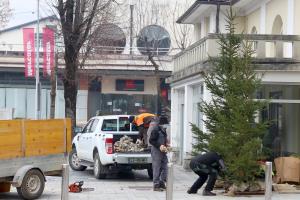 POSTAVLJANE NOVOLETNIH SMREK PRED KD 07 FOTO LJUBO VUKELIČ